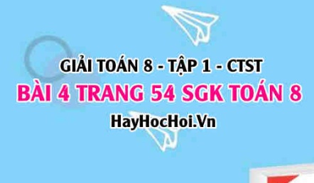 Giải bài 4 trang 54 Toán 8 Tập 1 SGK Chân trời sáng tạo